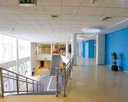 Polyflor Standard XL Polyflor Standard XL