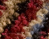 Carpet Windsor Stripe Carpet Windsor Stripe