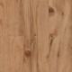 RP51-English-Elm