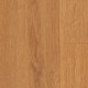 RP75-Swedish-Birch