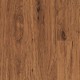 KP107-Sienna