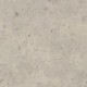 Fossil-Limestone