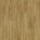 OAK-LIGHT