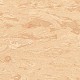 Blossom-8900