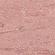 Rosehip-8950