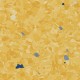 Giallo-3580