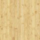 MAPLE