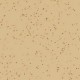 SPICE-MEDIUM-BROWN