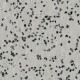 Ash-Grey-4540