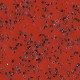 Redwood-4040