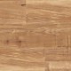 6502-Nut-Tree
