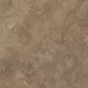 7507-Cambrian-Stone