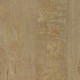 Bleached-Elm