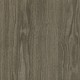 Winter-Oak