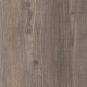Harbour-Pine