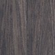 Quill-Gesso