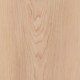 Norwegian-Maple