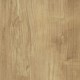 Golden-Oak