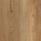 Spalted-Beech