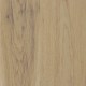 Canopy-Oak