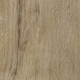 Featured-Oak