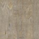 Bleached-Elm
