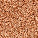 Sand-Dune