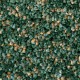 Olive-Grove