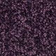 Lilac-Grove