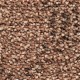 Flax