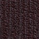 Aster-Plum